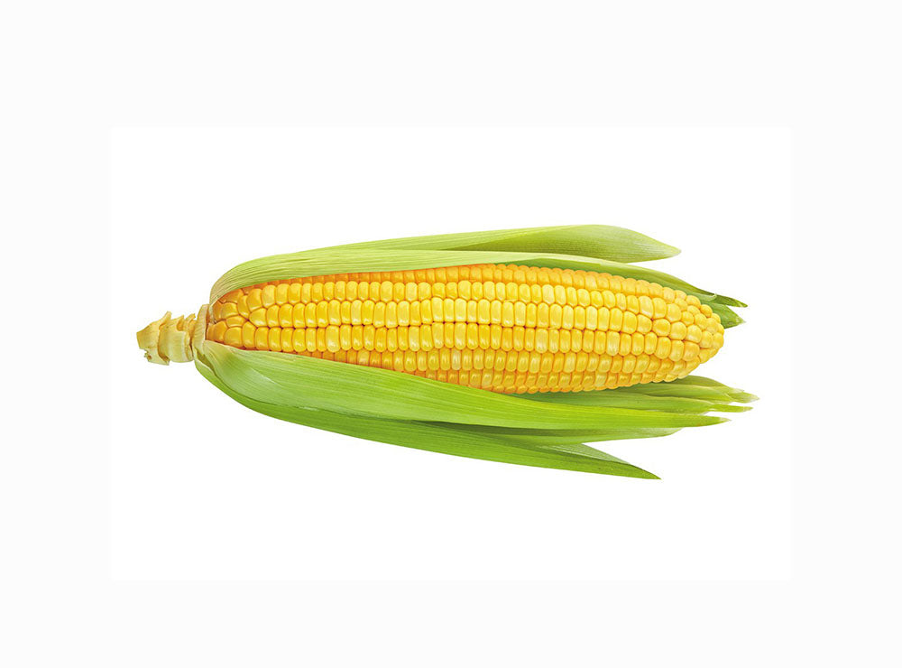 Corn