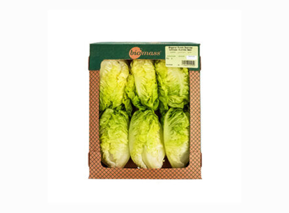 Biomass Organic Fresh Lettuce