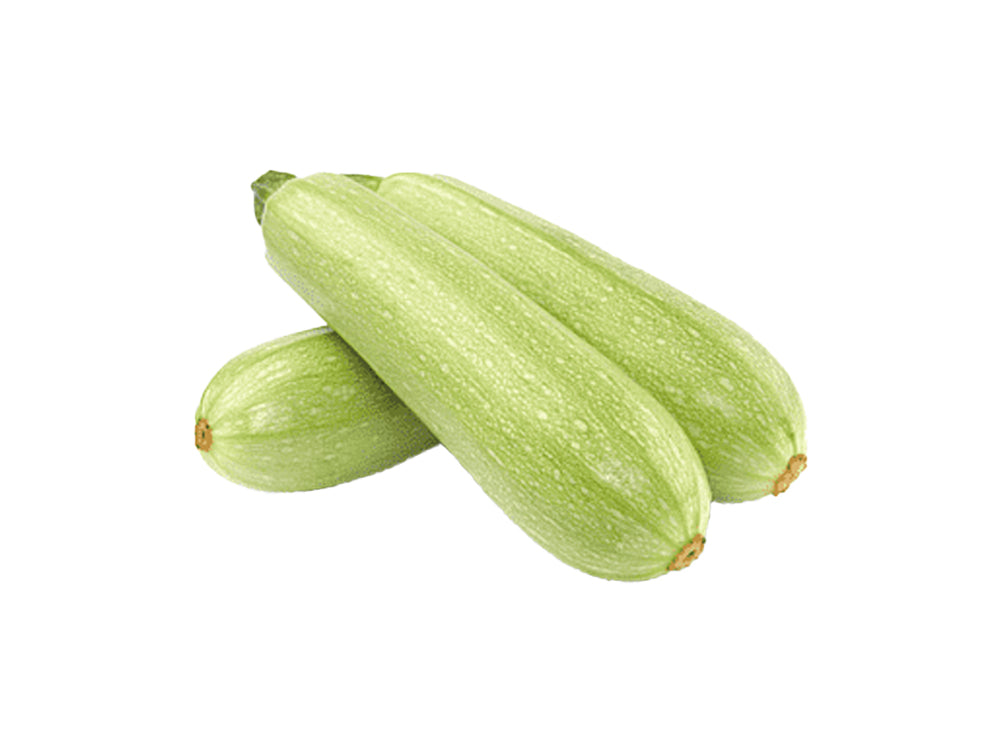 Zucchini