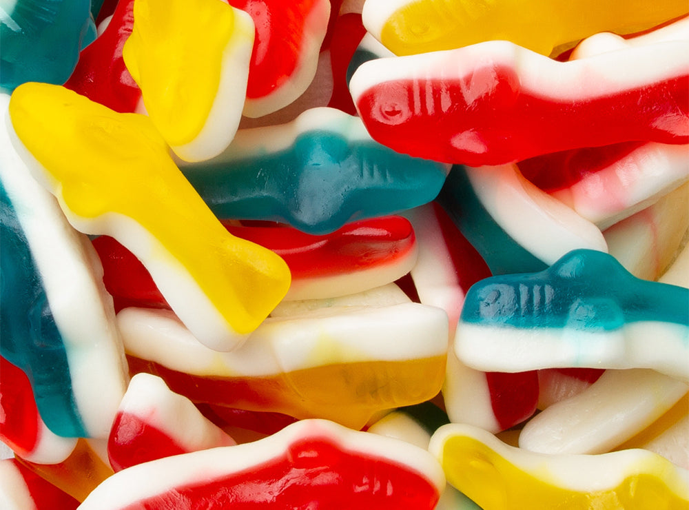 Dolphin Gummy Jelly