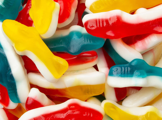 Dolphin Gummy Jelly