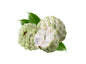 Custard Apple