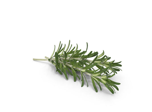 Rosemary