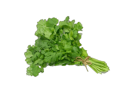 Coriander