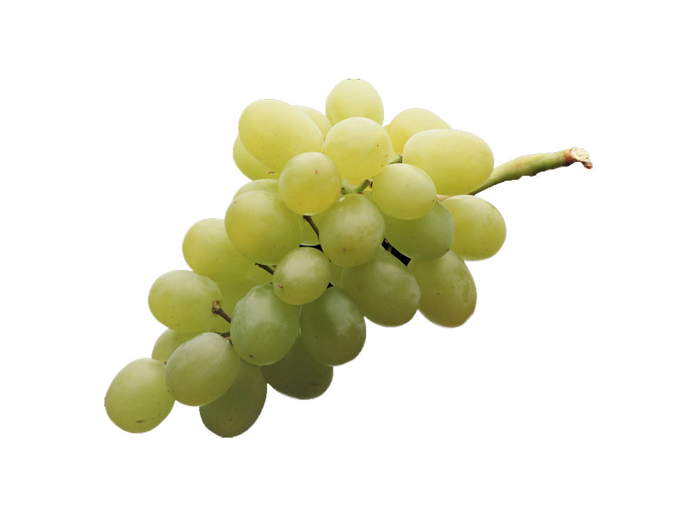 Grape White