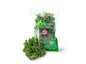 Agrifresh Kale Sanitized