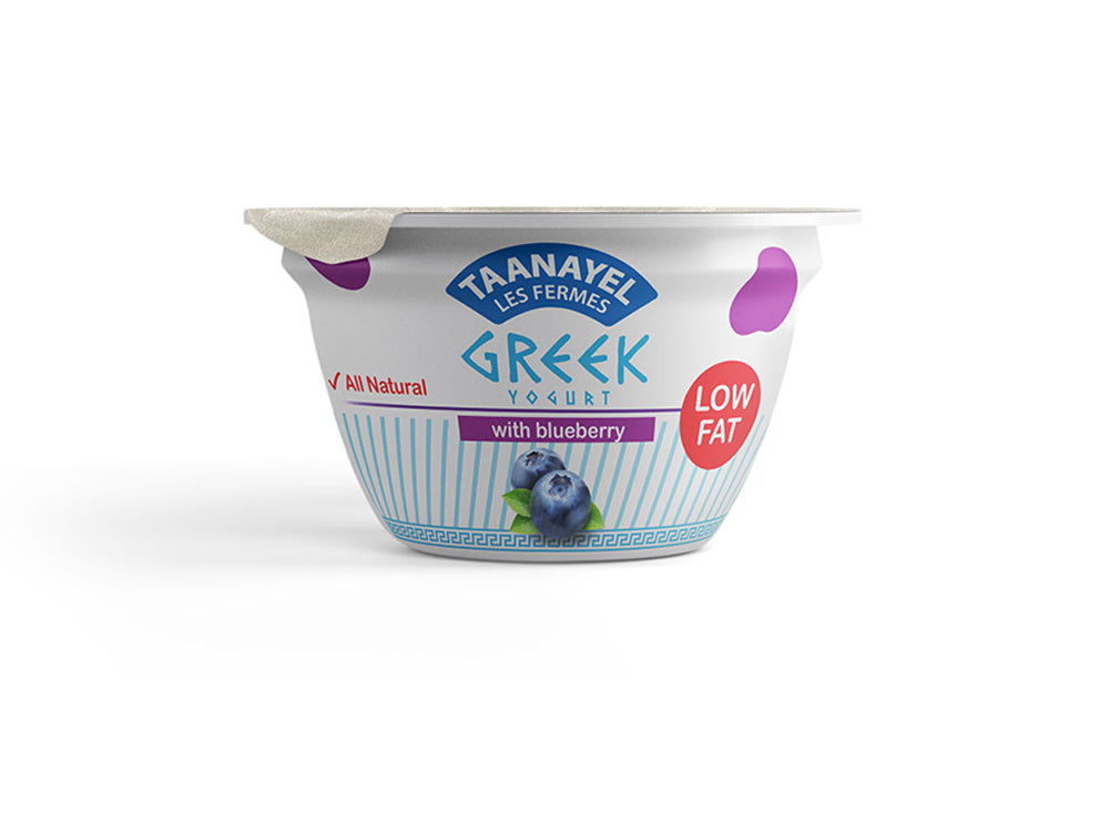 Taanayel Greek Yogurt Low Fat Blueberry