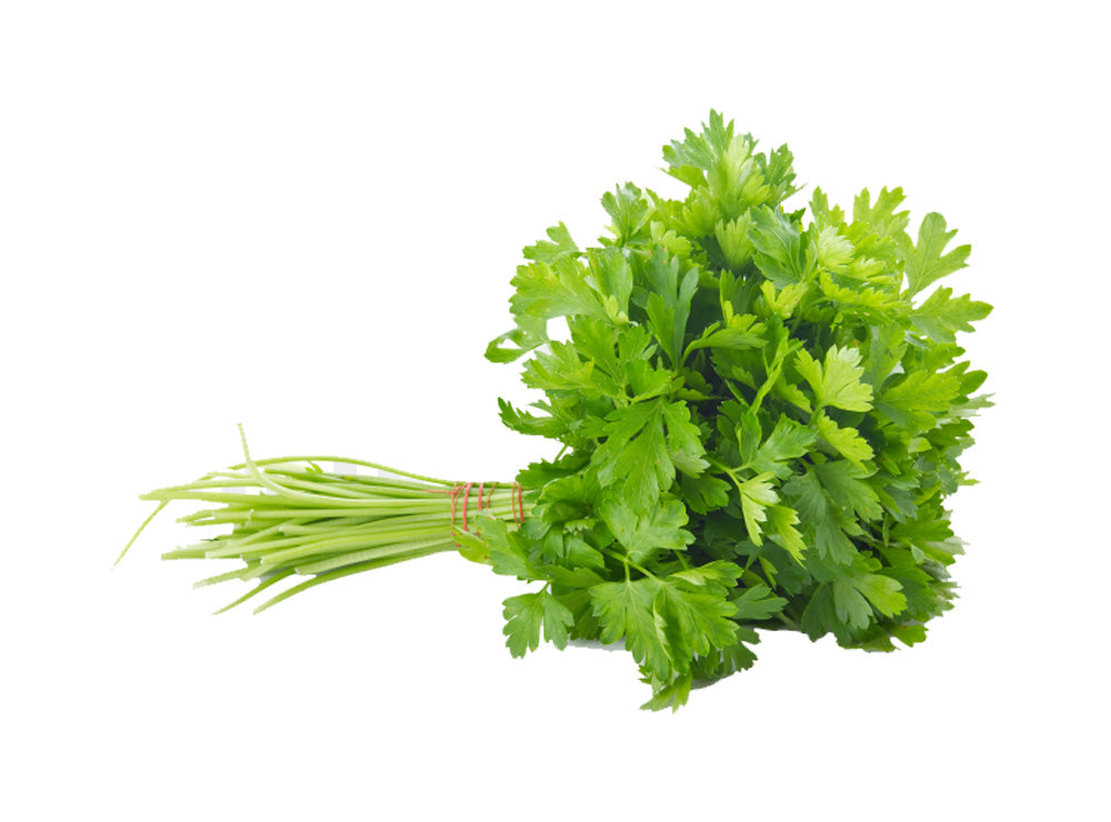 Parsley