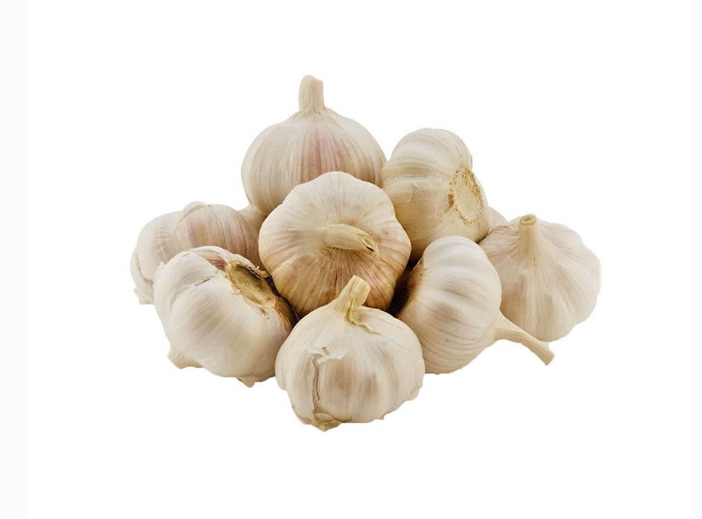 Garlic