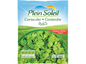 Plein Soleil Chopped Coriander