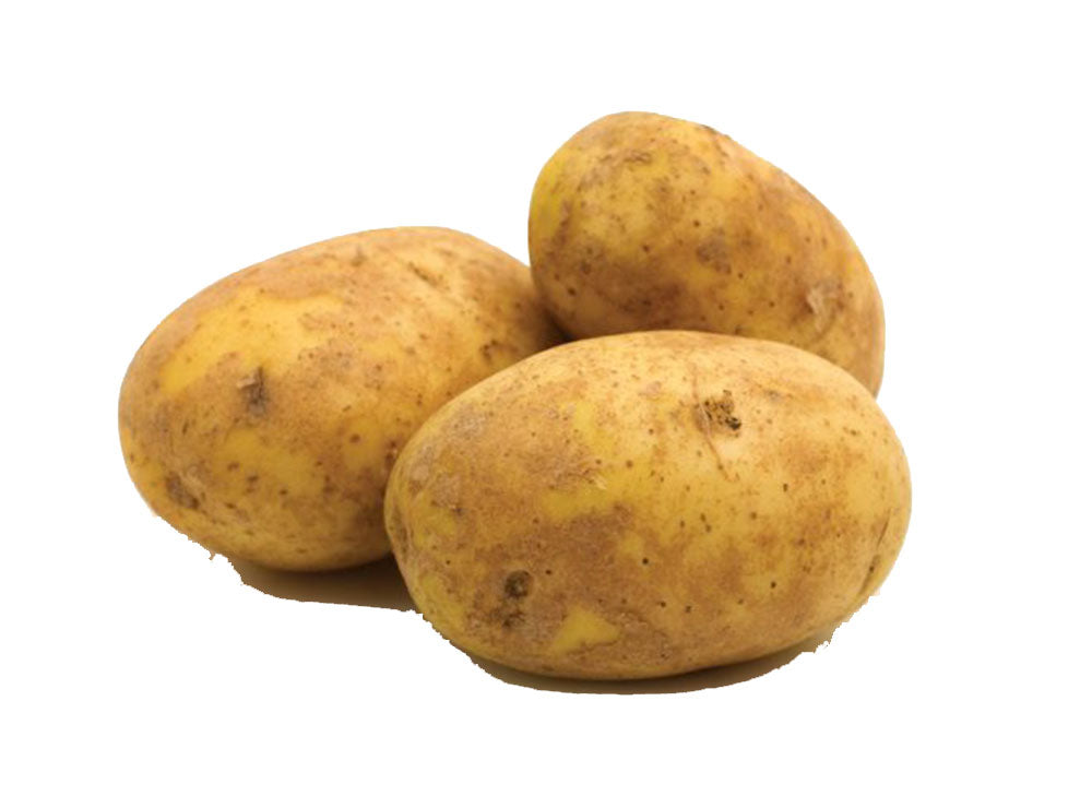 Potato Agria