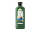 Herbal Essences Bio-Renew Potent Aloe + Bamboo Strength Builder Real Botanicals