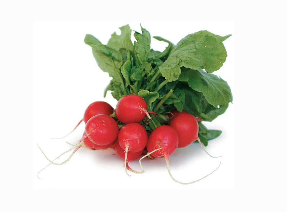 Radish