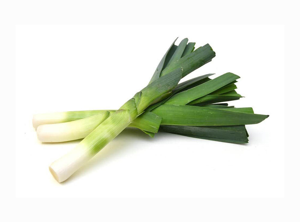 Leek